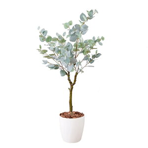 yLINEFo^ōő1,500~OFFN[|z[J 23030[J tFCNO[ ϗtA G} R L CeA ^ lHϗtA  zCg O[yTDz ys