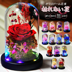 �v���U�[�u�h�t�����[ �K���X�h�[�� �h���C�t�����[ �t�����[ ���[�Y ������� �͂�Ȃ��� LED �a���� �v���[���g �z���C�g�f�[ ��̓� �h�V�̓� �L�O�� �������� ���~ ���~ �茳���{