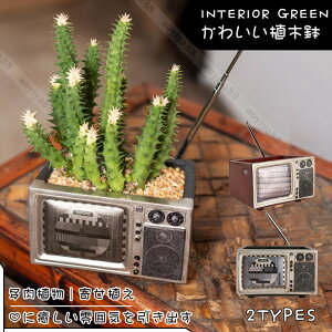 �A�ؔ� �e���r�͌^ ������� �����A�� �񂹐A�� ���킢�� ���� �t�����[�|�b�g �K�[�f���|�b�g ���� �K�[�f�� �C���e���A