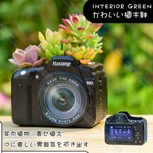 �� �A�ؔ� �����A�� �񂹐A�� ������ �J�����͌^ ������� �t�����[�|�b�g �K�[�f���|�b�g �T�{�e���͔| ���� �v�����^�[ ���A��