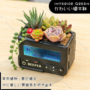 �� �A�ؔ� ������� ���� �|�P�x���͌^ �����A�� �񂹐A�� ���A�� �t�����[�|�b�g �~�j �v�����^�[ �C���e���A �K�[�f���|�b�g ����