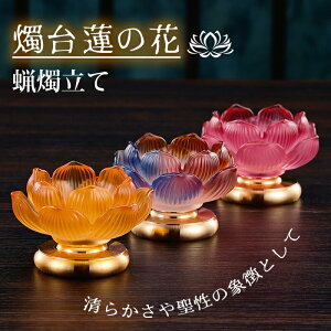 �C�� �@�̉� ���[�\�N���� �@�� ���� �Ɏq ������� �L�����h���X�^���h �X�C���� ���� ���O �@�� ���d�p �@�v ���� ���~ ���� ���ފ� ���� ��O��