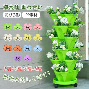 �A�ؔ� �� �d�ˍ��� �Ԃт�` �v���X�`�b�N ������� �y�� pp�f�� �L���X�^�[�t�� 3�w/4�w/5�w/6�w ���؂胉�b�N �ړ��֗� �ȃX�y�[�X �V���� �o���R�j�[ ��