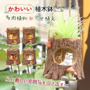 �� �A�ؔ� �݂艺�� ���킢�� ���A�� �� �����A�� �񂹐A�� �t�����[�|�b�g �K�[�f���|�b�g �T�{�e�� �v�����^�[ ���� �K�[�f�� �a���� ���蕨 �~�j�`���A�i��