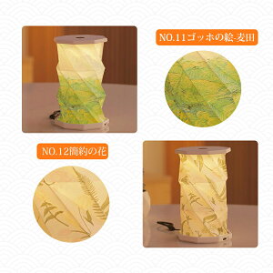 �~�� �~�j LED �R�[�h���X type-C�[�d�� ���_�� �~���傤���� ����13cm �����肠�� �� ���� ���~ �ފ� ���H�� �Ղ� ���� ����� ����Q�� ������ �X�^���h���C�g �Ɩ� �a�� �a�� ���d �t���A��