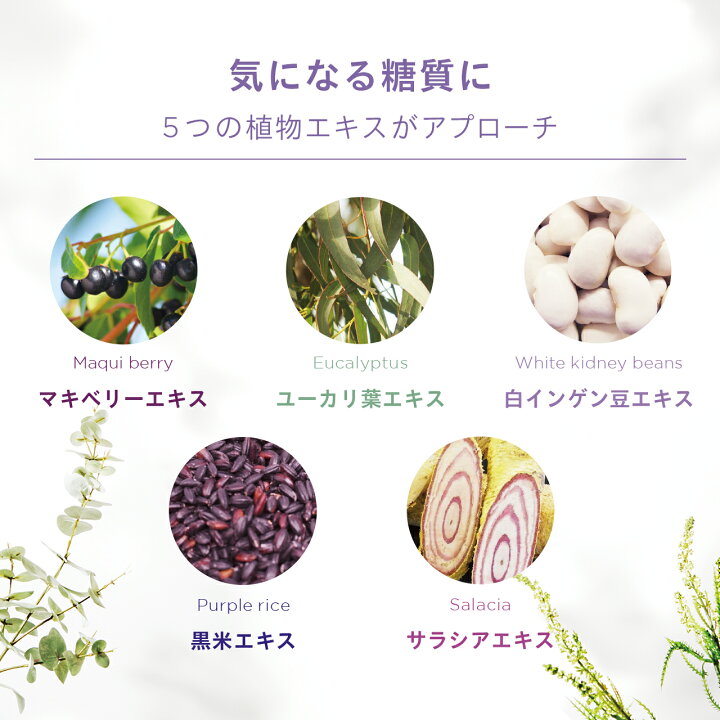 楽天市場】【送料無料】 パーフェクトダイエットプラス＋ 30袋 サプリ 