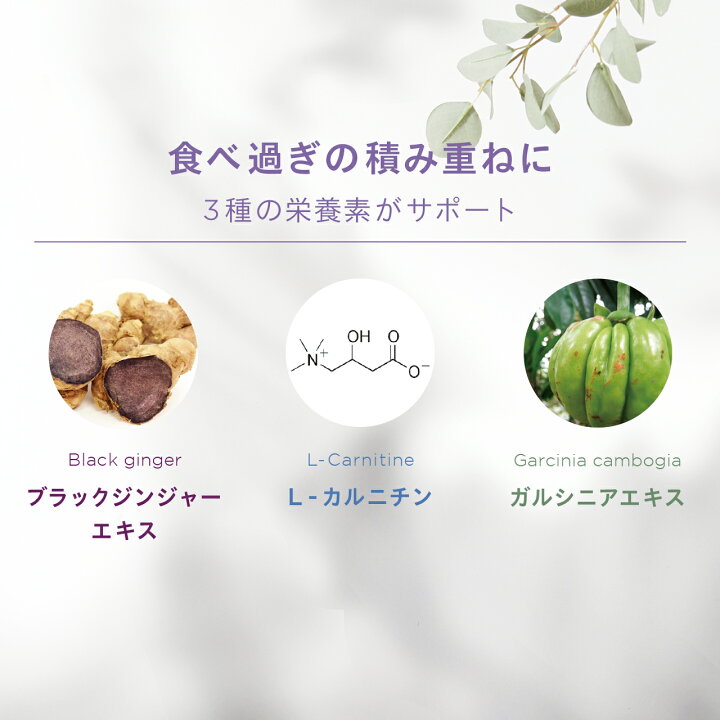 楽天市場】【送料無料】 パーフェクトダイエットプラス＋ 30袋 サプリ 