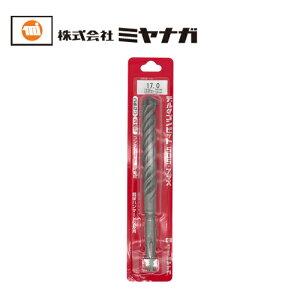 ~iK DLSDS170 f^Srbg SDS 17.0X166MM