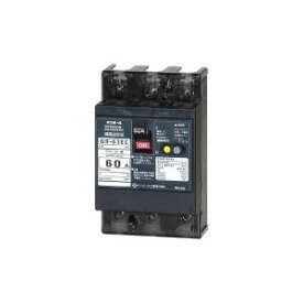 テンパール GB-63EC 60A 30MA Eシリーズ(経済タイプ)漏電遮断器