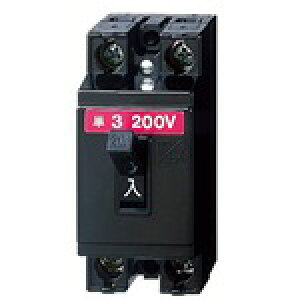 Panasonic/�p�i�\�j�b�N BS2022 HB�^ ���S�u���[�J 2P2E 20A