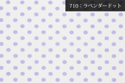 ブロード水玉・ドットプリント生地〔中〕(1702)