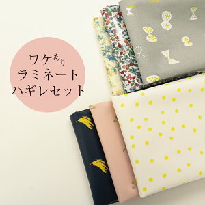 yEs-̏ꍇ̓LZzP胉~l[gnMZbg(1866) | ͂ [؂ nM PVC ~ n Zbg  nhCh   ~l[gH  