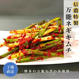 ★今ならおまけ付き 無添加キムチ 葱キムチ ねぎキムチ 200g 辛口 乳酸菌で優しい食生活を 博多の万能ねぎのみ使用 手作りキムチ専門店 joayoキムチ フルーツキムチ