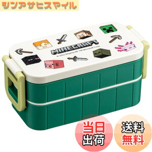�y���������z�X�P�[�^�[(Skater) �ٓ��� 2�i 600ml �����p �R�� �����`�{�b�N�X ���{�� �}�C���N���t�g �G�N�X�v���[���[ ���A Minecraft �j�̎q YZW3AG-A