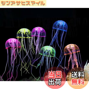 �y���������zsiawadeky �l�H�N���Q �u�� 6�_�Z�b�g ���F ���킢�� �����I�[�i�����g ���V���� �A�N�A���E�� �C���e���A �����ُ��� �N���Q���� ��i���� �V���R���� �������� �J���[�N���Q ��