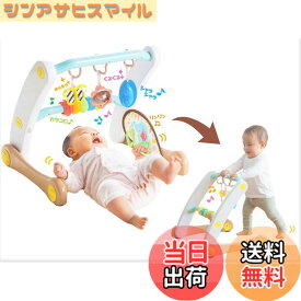【送料無料】うちの赤ちゃん世界一 (R) スマート知育ジム&ウォーカー 色：混合カラー、サイズ：ワンサイズ