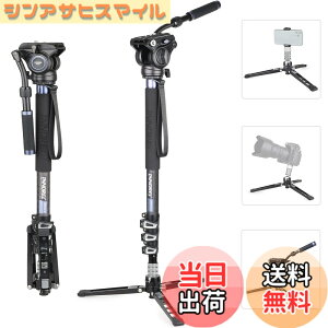 �y���������zINNOREL VM70 Series �_��t�� ���m�|�b�h �X�^���h �A���~ ��r �r�f�I �B�e�p ���O�r �ώ� �F�FVM70CK�Z�b�g�A�T�C�Y�FL