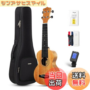 �y���������zEnya �}�z�K�j�[�E�N���� �F�F�؂̐F�\�v���m�E�N�����A�T�C�Y�F�\�v���m