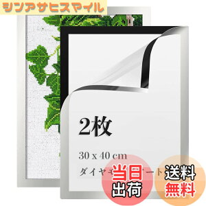 �y���������zLEADINTOP �_�C�������h�A�[�g �t�H�g�t���[�� 2�� �}�O�l�b�g�t�� 30 x 40 cm �_�C�������h�G��p �ǂ������Ȃ� ���ȔS���� �Ǌ|�� �f�B�X�v���C�t���[�� �ʐ^�t���[�� �\���� �|