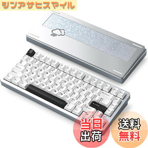 �y���������z�yWOBKEY Rainy 75�L�[�{�[�h�z�J���̂悤�ȑŌ��� ���J�j�J���L�[�{�[�h 3WAY�ڑ� OS�݊��� �z�b�g�X���b�v��VIA�̑Ή� �J�X�^�}�C�Y�� �K�X�P�b�g�f�U�C�� �A���~�j�E���f�ގg�p RG