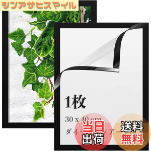 �y���������zLEADINTOP �_�C�������h�A�[�g �t�H�g�t���[�� 2�� �}�O�l�b�g�t�� 30 x 40 cm �_�C�������h�G��p �ǂ������Ȃ� ���ȔS���� �Ǌ|�� �f�B�X�v���C�t���[�� �ʐ^�t���[�� �\���� �|