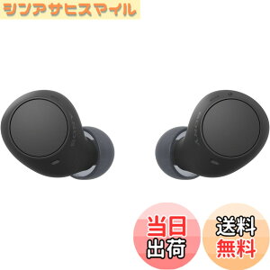�y���������z�\�j�[(SONY) ���S���C�����X�C���z�� WF-C500/WF-C510 :/�����x�ʘb�i��/IPX4�h�H���\ �F�F�u���b�N�A�T�C�Y�F���^�y��