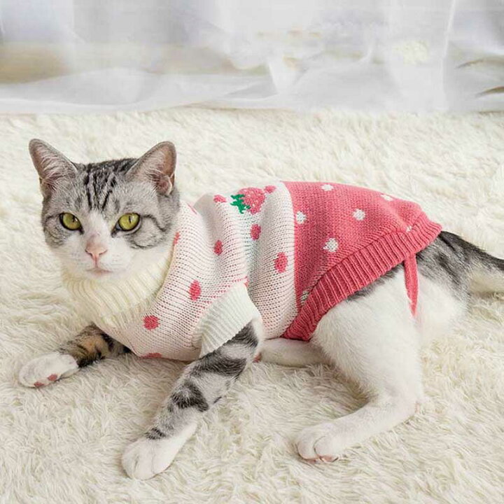 楽天市場 猫 服 猫の服 可愛い 猫服 猫ウェア キャットウェア 猫の服 ネコ服 ペット 服 ペット服 ペットウエア 猫用 ウェア 苺がら ニット 猫用 ペット用品 撮影 防寒 コスチューム ファッション 寒さ対策 かわいい 送料無料 Sinca楽天市場店
