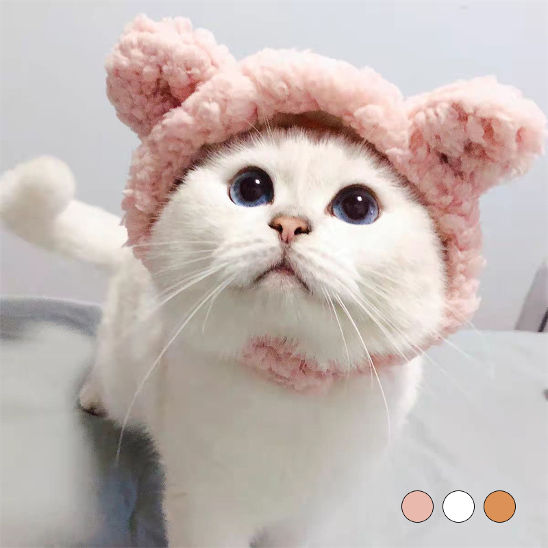 【楽天市場】猫 帽子 クマ耳 ペット用帽子 犬用 小型犬 帽子 キャット 
