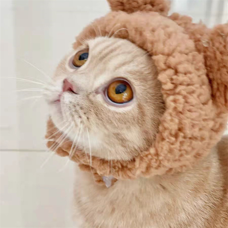 楽天市場】猫 帽子 クマ耳 ペット用帽子 犬用 小型犬 帽子 キャット
