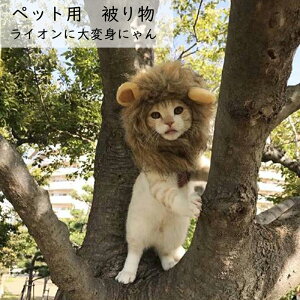 ライオン コスプレ 猫用ペット服の人気商品 通販 価格比較 価格 Com
