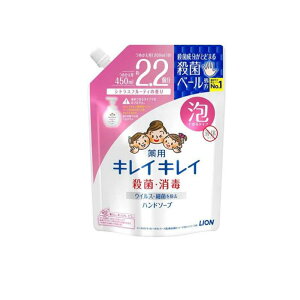 y3980~ȏŒ\zLCLCpAnh\[v VgXt[eB̍ lߑւp ^TCY 450mL