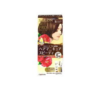 【3980円以上で注文可能】サロンドプロ ヘアマニキュア・スピーディ 白髪用 5ナチュラルブラウン 1組入