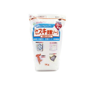 y3980~ȏŒ\zg[N ZXLY_\[_ 1000g