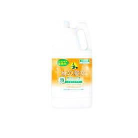 【3980円以上で注文可能】緑の魔女 泡タイプバス お風呂用洗剤 詰め替え用 2000mL