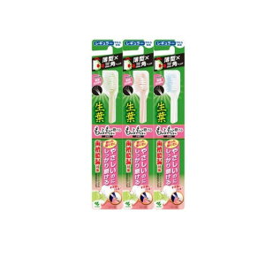 y3980~ȏŒ\zt(傤悤) ӂӖuV M[wbh 炩 1{