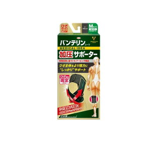 y3980~ȏŒ\zoeR[T|[^[ Ђp ӂMTCY 1 (ubN)