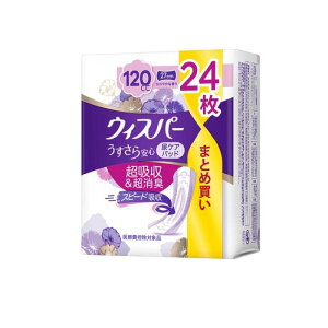 y3980~ȏŒ\zEBXp[S S120cc ₩ȍ 24