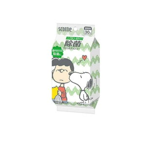 �y3980�~�ȏ�Œ����\�z�X�R�b�e�B �E�F�b�g�e�B�V���[ ���� �m���A���R�[���^�C�v �X�k�[�s�[ 30����