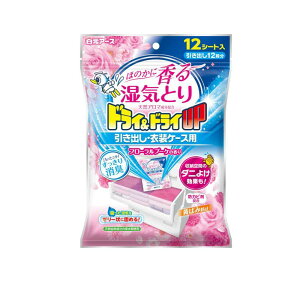 y3980~ȏŒ\zhC&hCUP oEߑP[Xp t[u[P̍ 12V[g