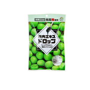 y3980~ȏŒ\z~GLXhbv 47g