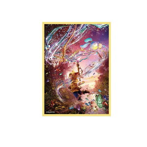 y3980~ȏŒ\zFINAL FANTASY t@Cit@^W[ J[hX[u FFCSS-08 N 100