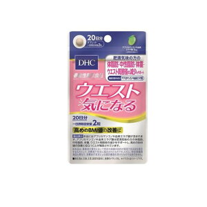 yIinjzDHČNHi EGXgCɂȂ 40 (20)