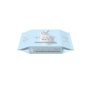 yIinjzlsA Zu WET  60 (lߑւp)