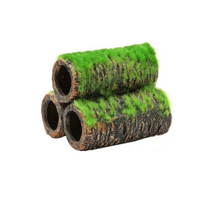 yIinjzGEX Șa̒ y 1 (MTCY)