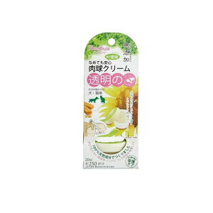 yIinjzybc[g YN[ Lp 20mL (250)