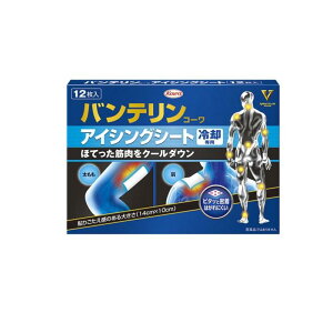 yIinjzoeR[ ACVOV[g pp 12