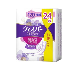 yIinjzEBXp[S S120cc ₩ȍ 24