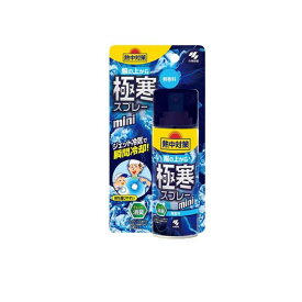 【送料無料！（地域限定）】桐灰化学 熱中対策 服の上から極寒スプレー 無香料 93mL (ミニ)