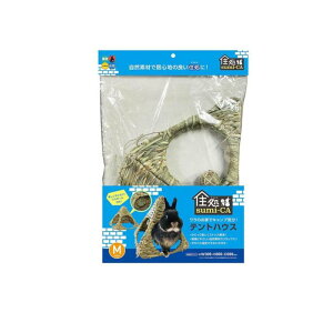 yIinjznCybg p Zsumi-CA(݂) egnEX MTCY 1