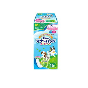 yIinjzP.one j̎q&̎qp}i[pbhActive p MTCY 16